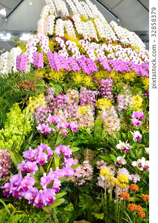 World Land Exhibition World Land Exhibition 32858379