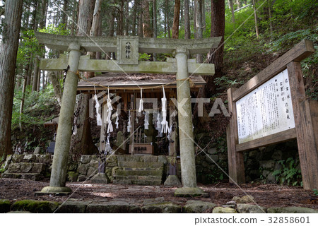 Shingentsuka 32858601