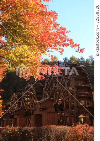 Autumn leaves and watermill in Japanese garden Autumn leaves and watermill in Japanese 32859326
