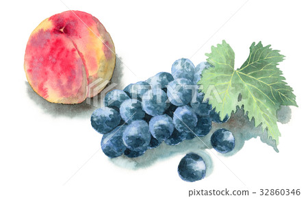 Analog watercolor peach and Kyoho Analog watercolor peach and Kyoho 32860346