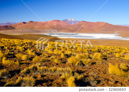 Landscape of Cordillera de Lipez with high Landscape of Cordillera de Lipez with high 32860693