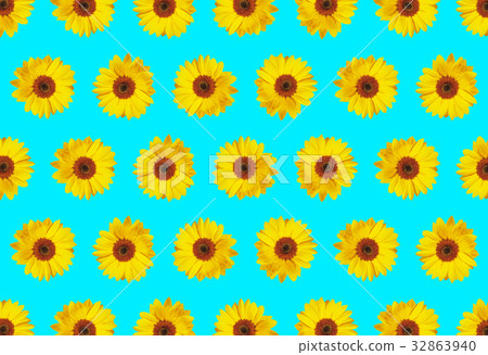 Sunflower background pattern-light blue background - Stock Illustration ...