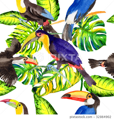 Sky bird toucan pattern in a wildlife by 32864902