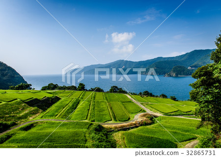 Tanada海夏天鄉下藍天 32865731