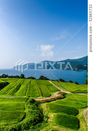 Tanada海夏天鄉下藍天 32865732