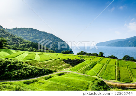 Tanada海夏天鄉下藍天 32865744