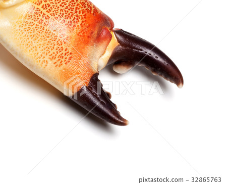 Cooked claw crab at corner 32865763