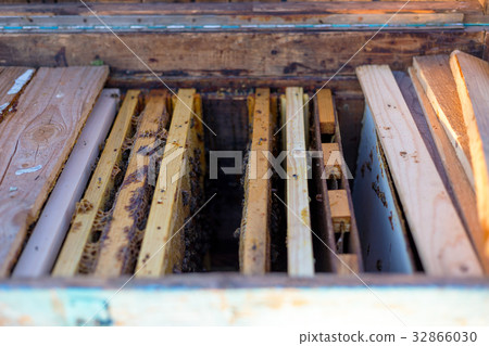 Open bee hive and honeycomb frames 32866030