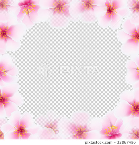 Cherry Flower Frame With Transparent Background Cherry Flower Frame With Transparent Background 32867480