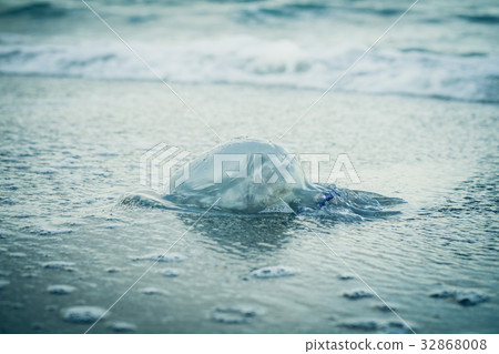 Jellyfish on the beach in a blue toning. 32868008