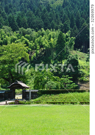 一乘谷朝倉氏遺址 32869979