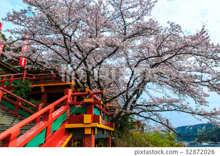 Yukinori Inagi Shrine's Sakura Saga Yukinori Inagi Shrine's Sakura Saga 32872026