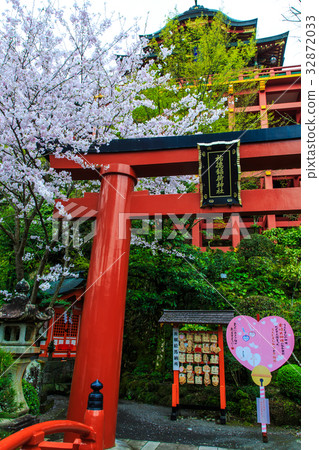 Yukinori Inagi Shrine的Sakura Saga Yukinori Inagi Shrine的Sakura Saga 32872033