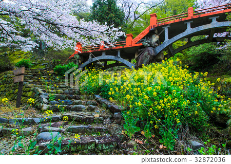 Yukinori Inagi Shrine的Sakura Saga Yukinori Inagi Shrine的Sakura Saga 32872036