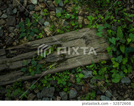 Waste line trace of Takedao 32872608
