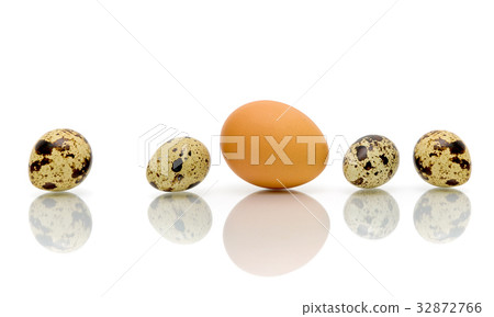 Eggs of different types on a white background Eggs of different types on a white background 32872766
