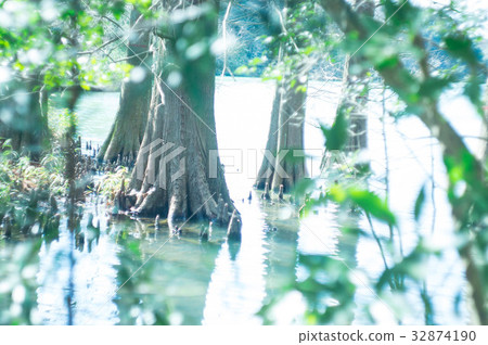 Sasaguri Kyudai no Mori Sasaguri Kyudai no Mori 32874190