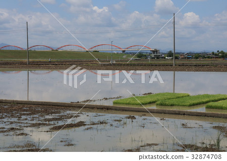 Saundama Prefecture Konosu City Fukiage的風景 Saundama Prefecture Konosu City Fukiage的風景 32874708