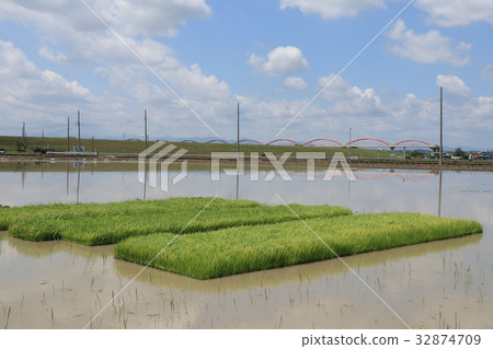 Saundama Prefecture Konosu City Fukiage的風景 32874709