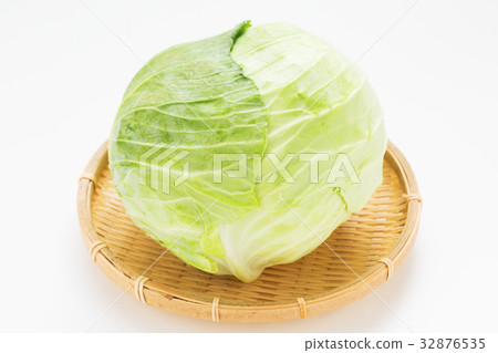 捲心菜 32876535