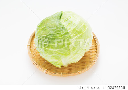 cabbage cabbage 32876536