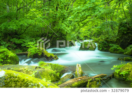 Oirase Stream Flow of Asura 32879079