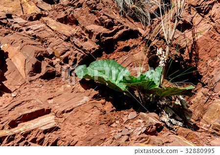 Multicolor soil of mercury occurrence in Altai Multicolor soil of mercury occurrence in Altai 32880995