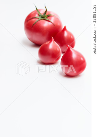 Toma Tobo & Toma Toechan 32881155