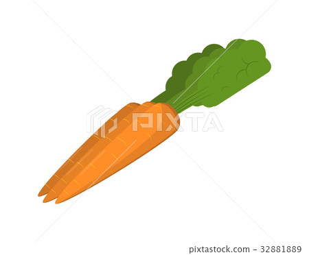 Fresh carrot isolated vector icon 32881889