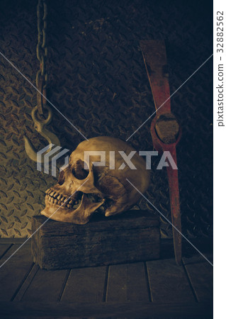 Still Life with a Skull. Still Life with a Skull. 32882562