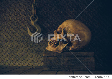 Still Life with a Skull. Still Life with a Skull. 32882563