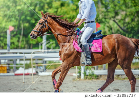 Riding scenery 32882737