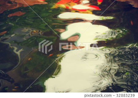 water in river 32883239