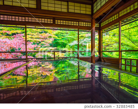 Kinufu Rurikoin 32883485