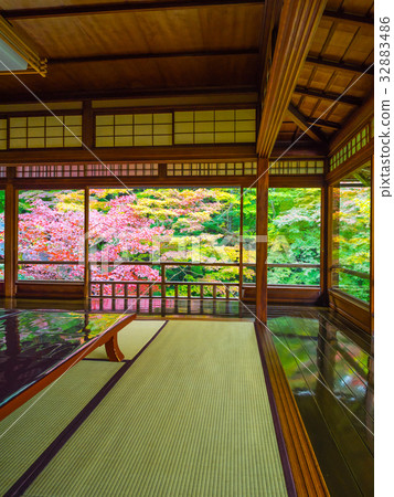 Kinufu Rurikoin 32883486