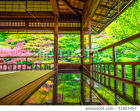 Kinufu Rurikoin 32883487