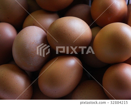 chicken eggs chicken eggs 32884215