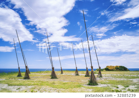 針灸，巨大，潮汐公園 32885239