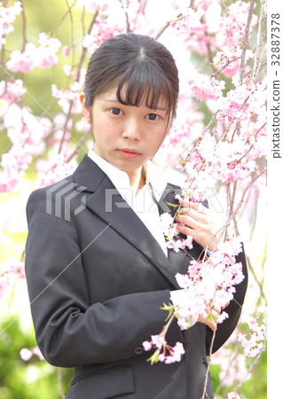 新員工櫻花 32887378