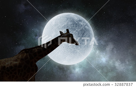 Natural Safari landscape and giraffe . Mixed media 32887837