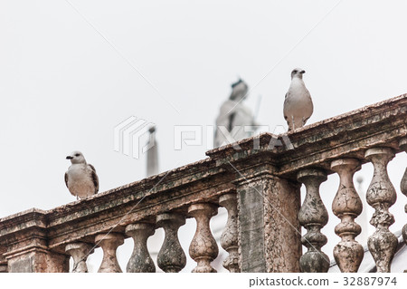 Two seagulls stand on fence. 32887974
