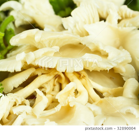 Fresh Mushrooms. Fresh Mushrooms. 32890004