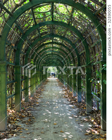 Trellis arches in Arkhangelskoe estate in Moscow 32890055