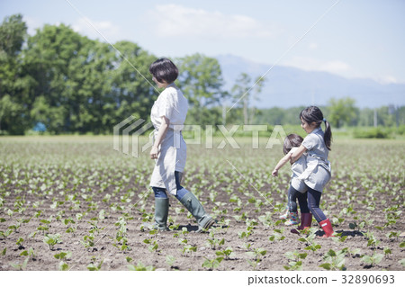 Parent and child of the field Parent and child of the field 32890693