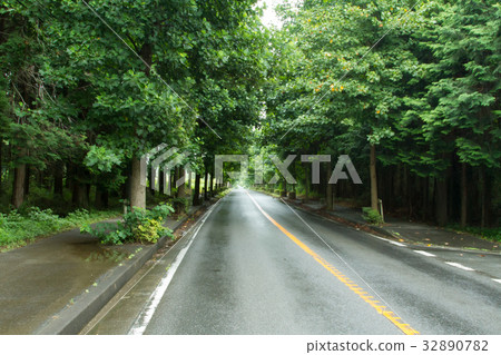 濕路 濕路 32890782