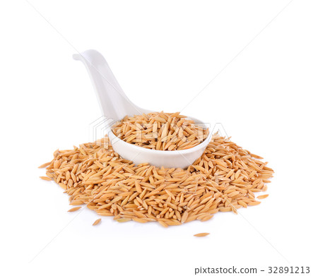paddy rice on white background paddy rice on white background 32891213
