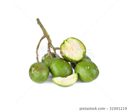 Elaeocarpus hygrophilus on white background Elaeocarpus hygrophilus on white background 32891219