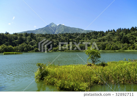 Himenuma in the summer 32892711