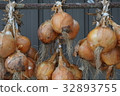onion  32893755