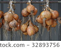onion  32893756